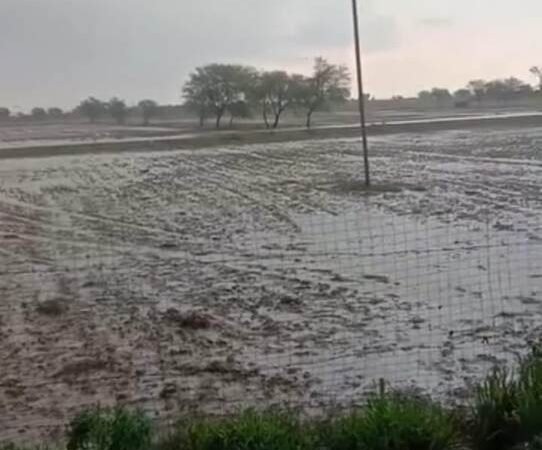 दो दिन से ग्रामीण क्षेत्र में झमाझम बारिश का दौर जारी, खेतों में भरा पानी।