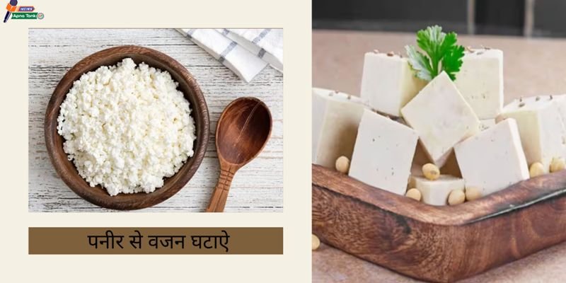 Cottage cheese for weight loss: Know how to eat cottage cheese for weight loss.