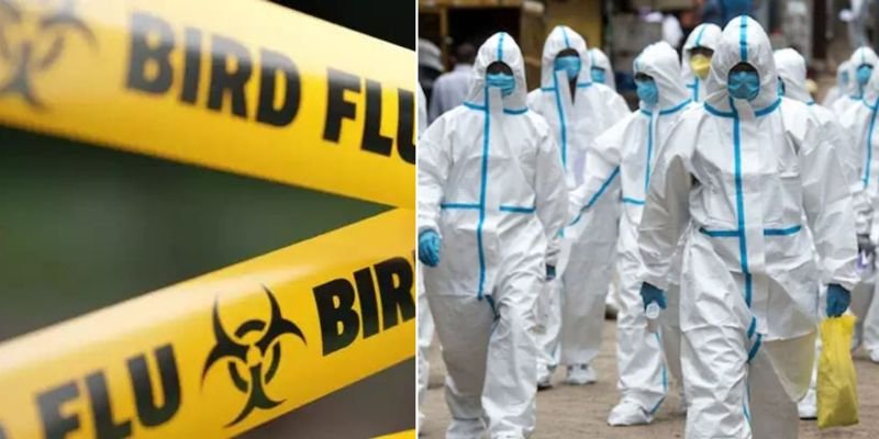 Experts' alert: Dangerous spread of bird flu, considered more dangerous than corona