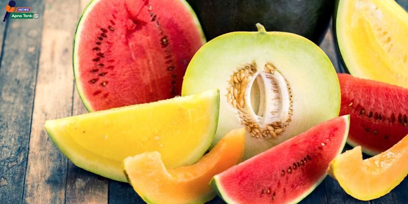 watermelon vs cantaloupe तरबूज या खरबूजा : गर्मियों में सेहत के लिए कौन सही ?