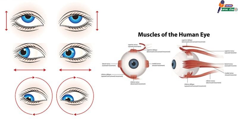 Symptoms of eye weakness – Know the ways to get rid of it