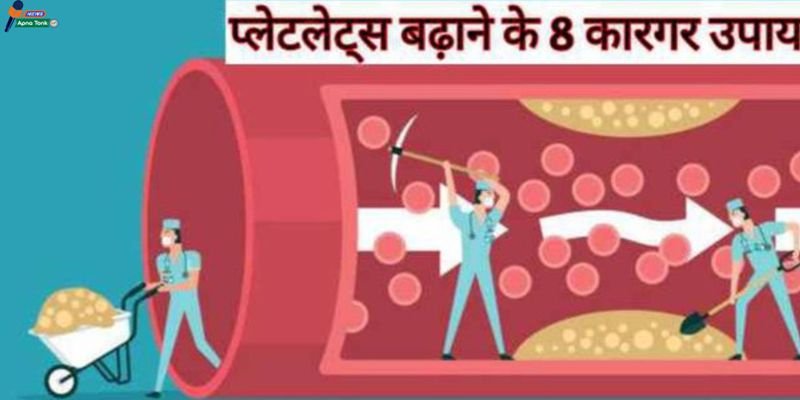 deficiency of platelets: Platelets: Why does the number of platelets decrease? Know its importance and reasons for its deficiency.