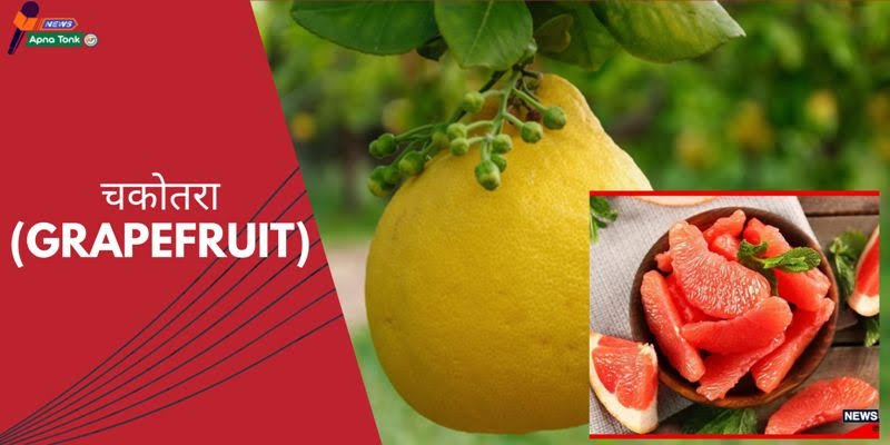 Danger of increasing heat due to 5 fruits